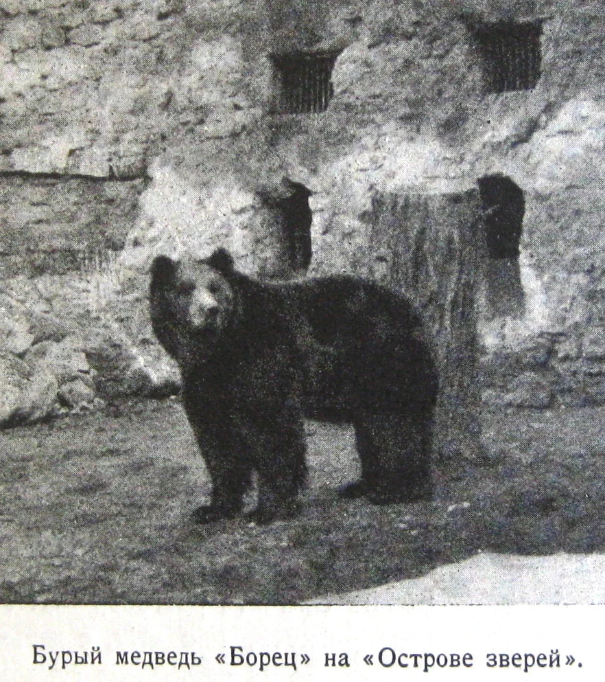 Moscow Zoo