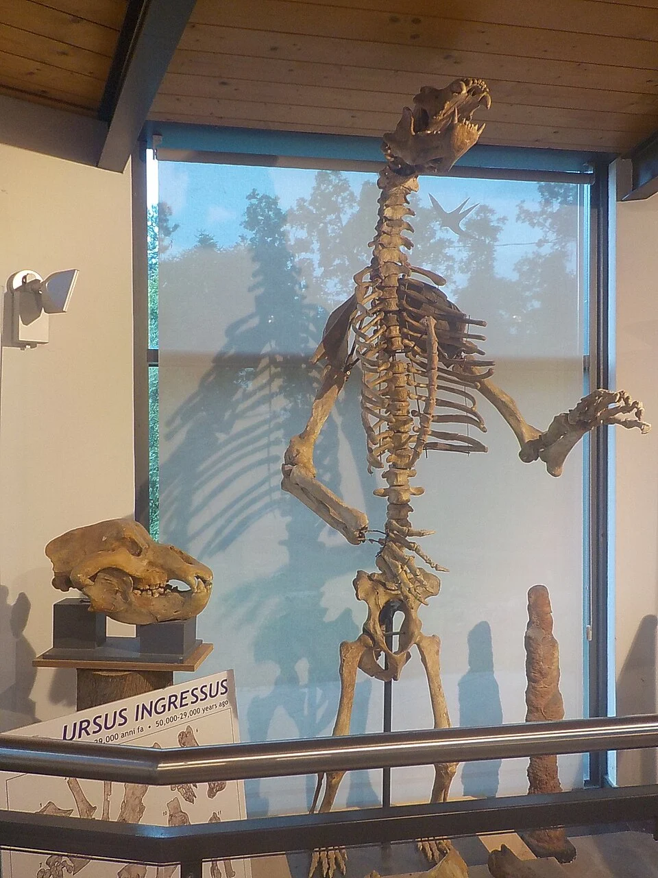 Museo della Grotta