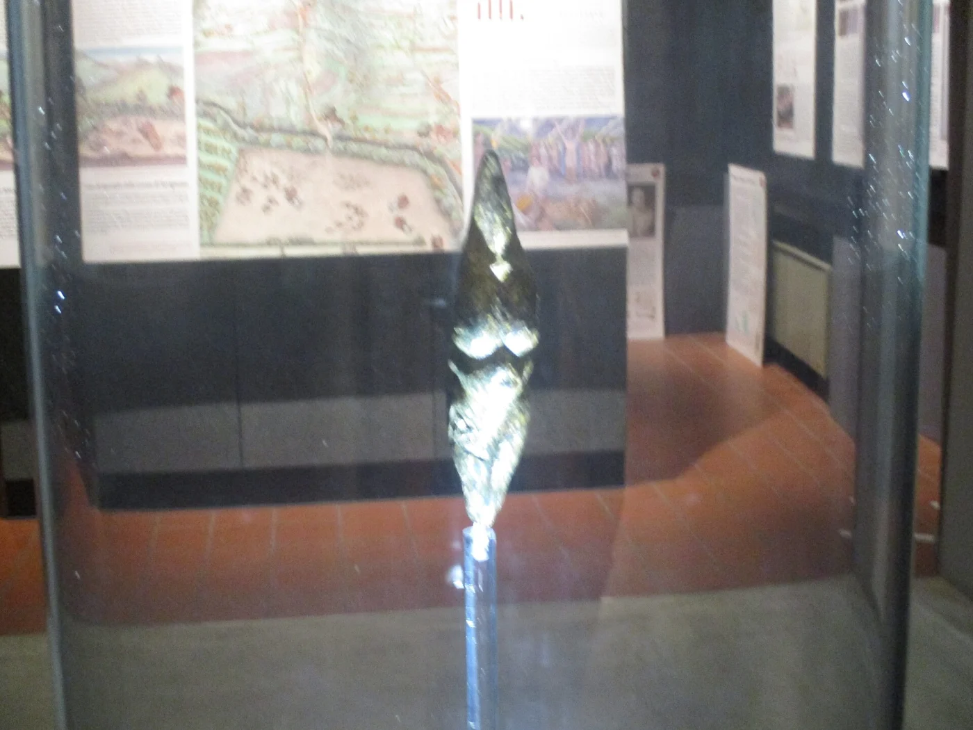 Museo della Venere e dell'elefante
