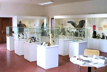 Museo dell'Ecologia