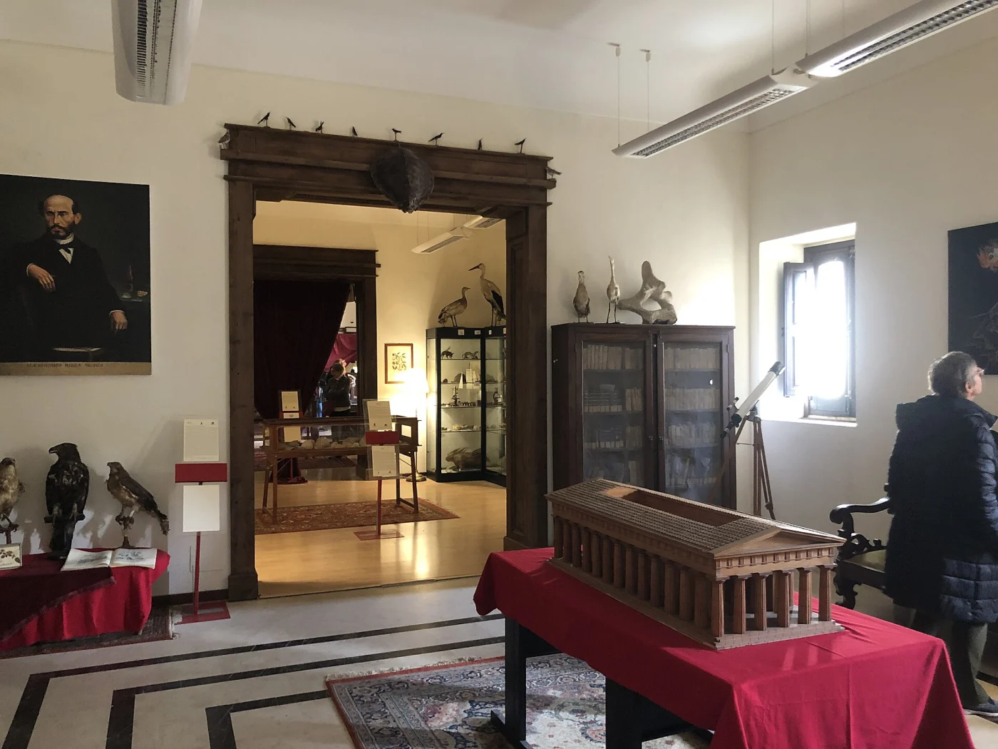 Museo Naturalistico - Wunderkammer
