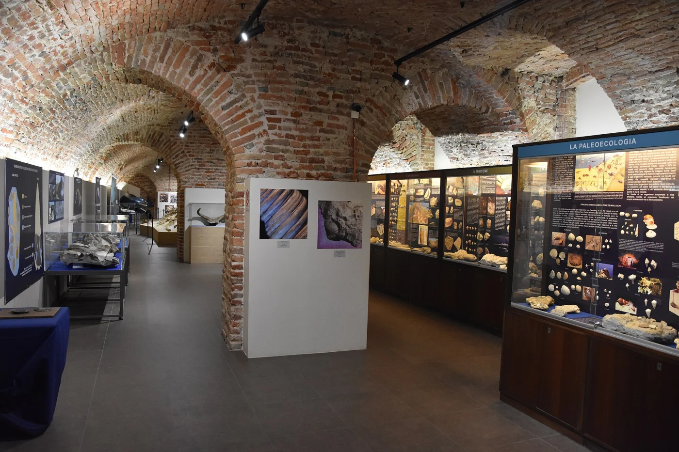 Museo Paleontologico Astigiano e Monferrato