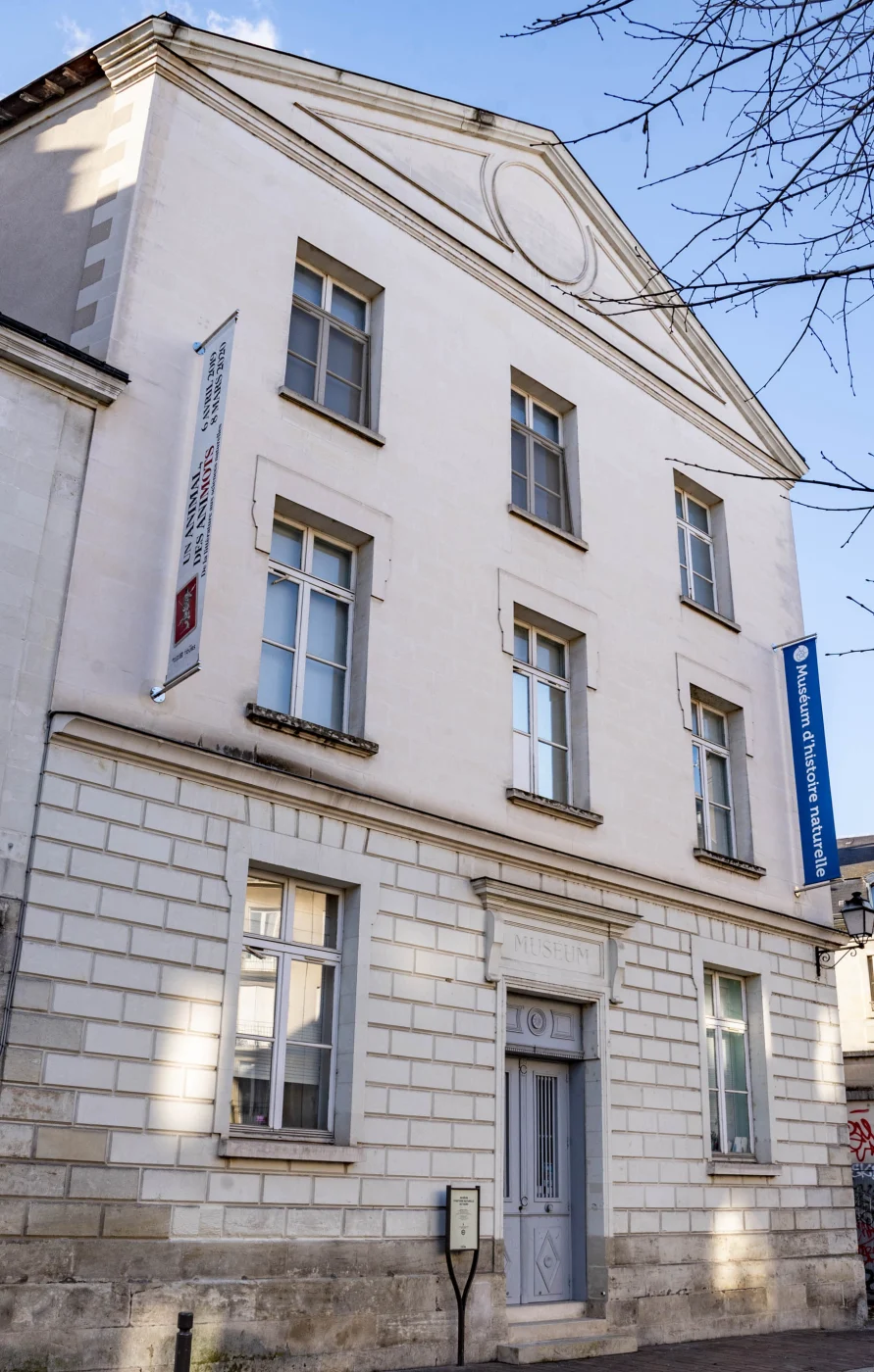 muséum d'histoire naturelle de Tours