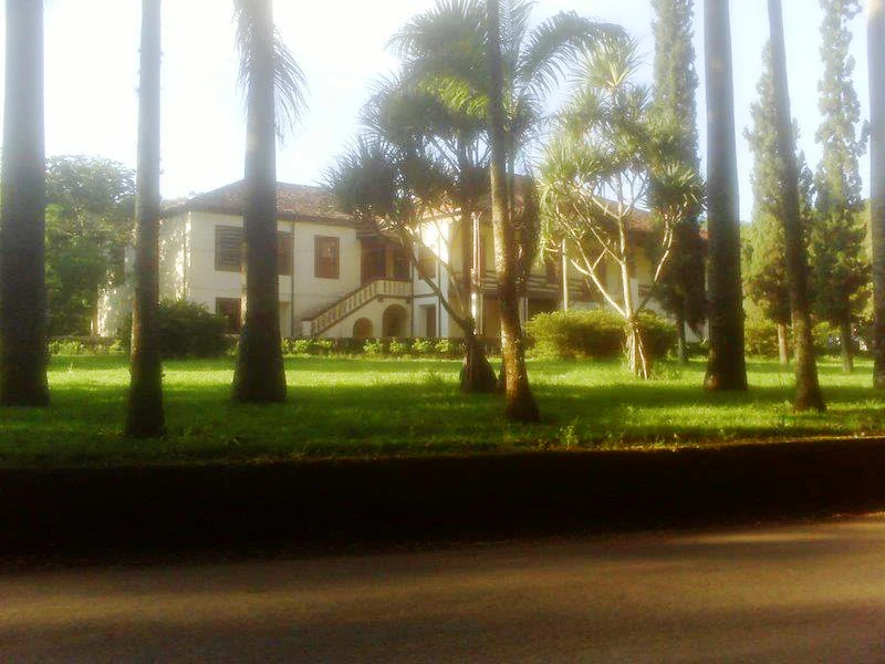 Museum of the Eucalyptus
