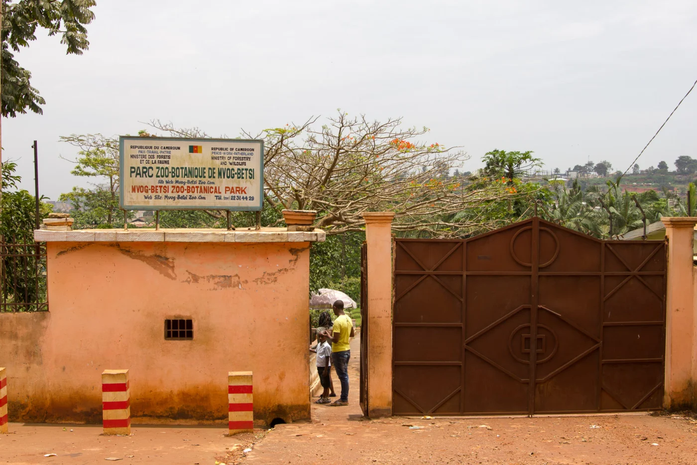 Mvog-Betsi Zoo