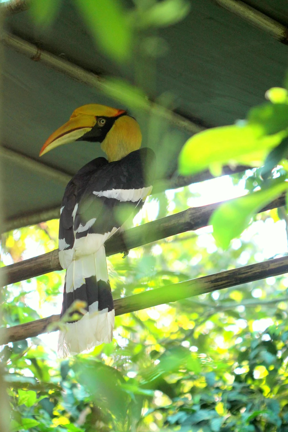 Nagaland Zoological Park