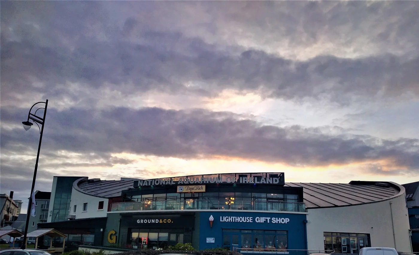 National Aquarium of Ireland