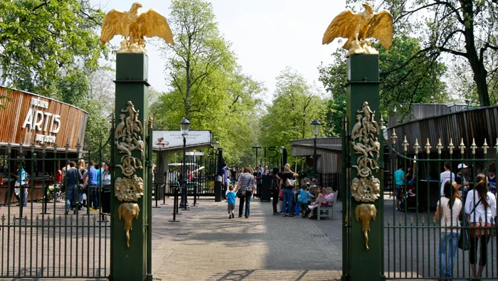 Natura Artis Magistra