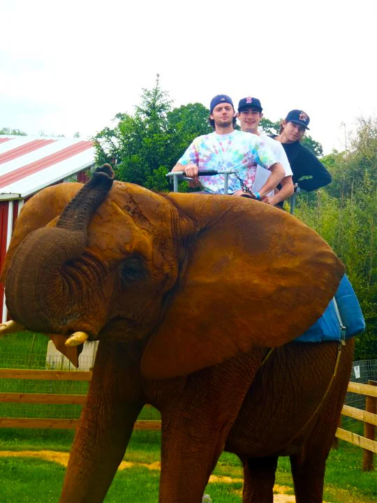 Natural Bridge Zoo