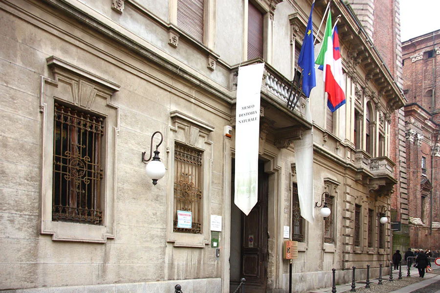 Natural history museum "Faraggiana Ferrandi"