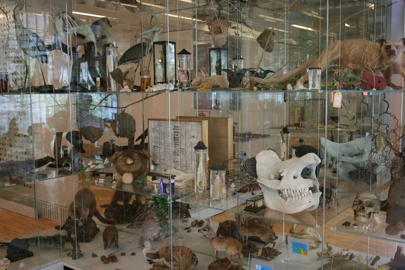 Naturama Aargau
