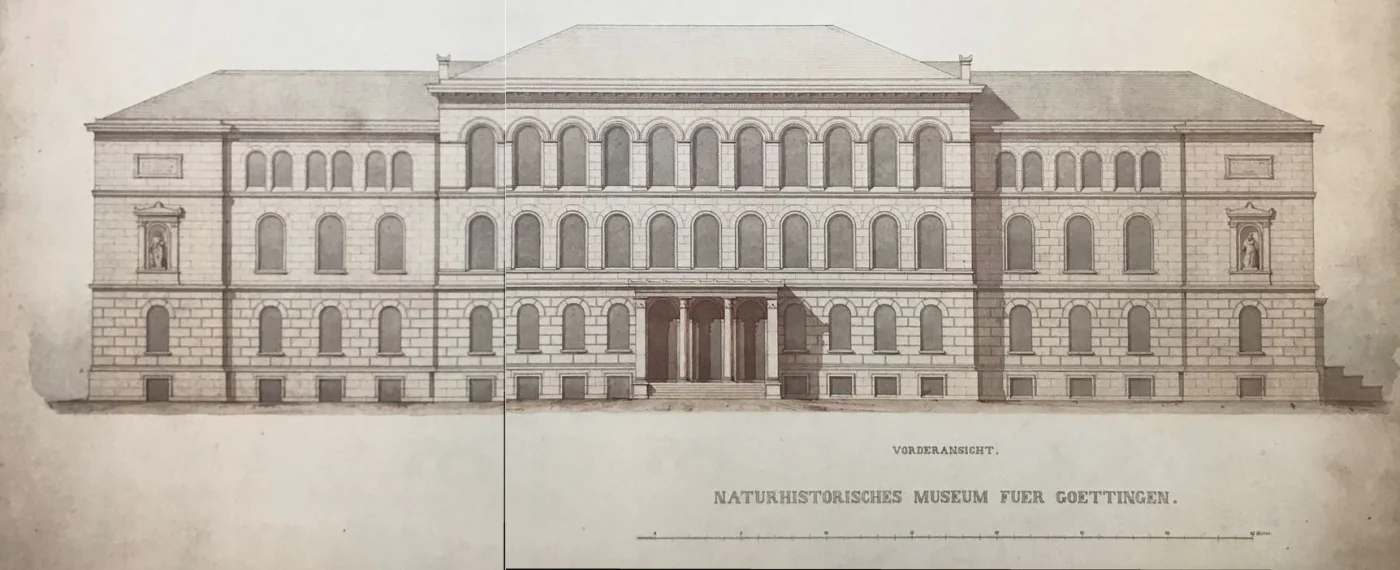 Naturhistorisches Museum der Universität Göttingen