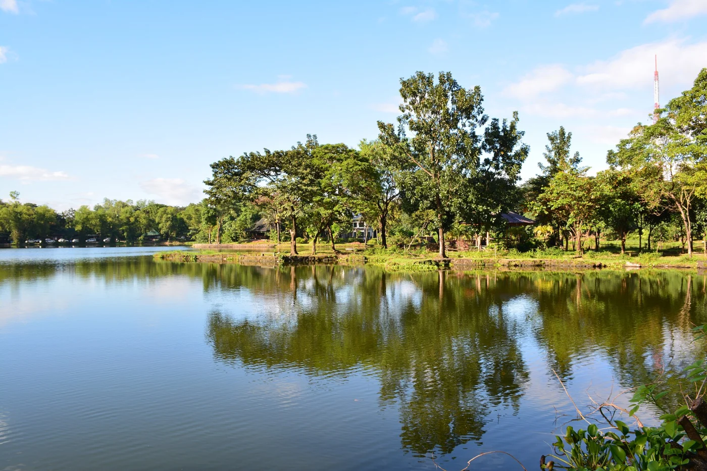 Ninoy Aquino Parks & Wildlife Center