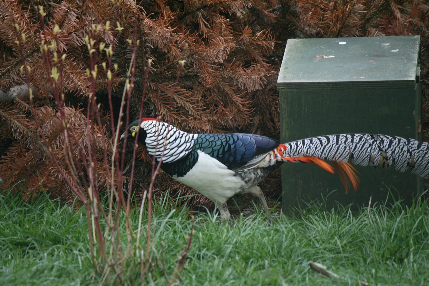 Northumberland College Zoo