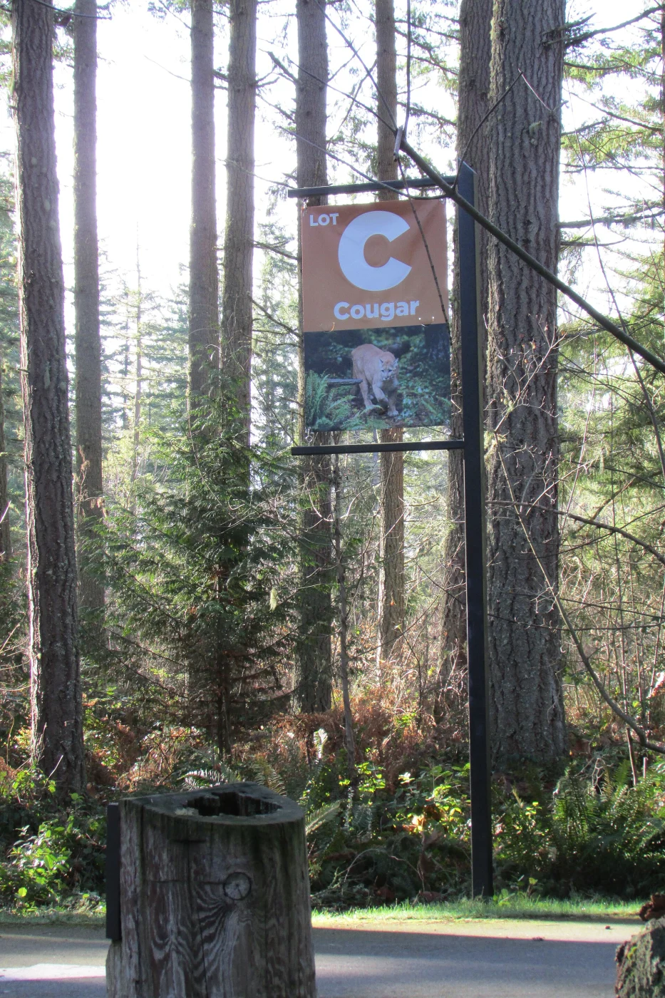 Northwest Trek Wildlife Park