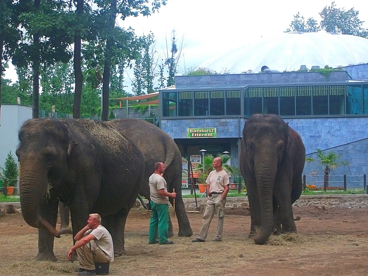 Nyíregyháza Zoo