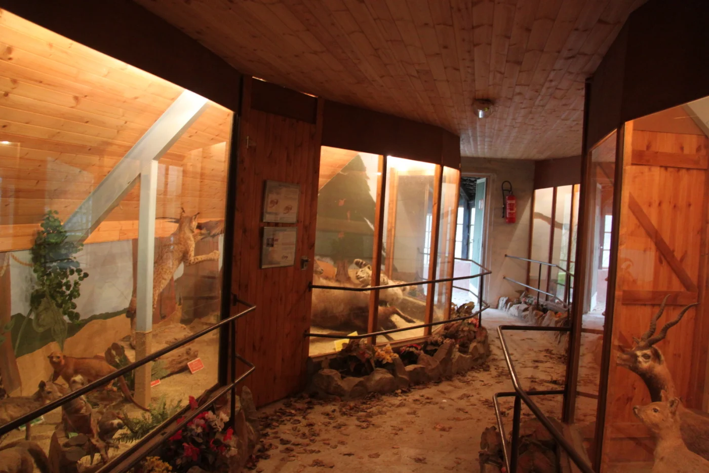 Olmen Zoo