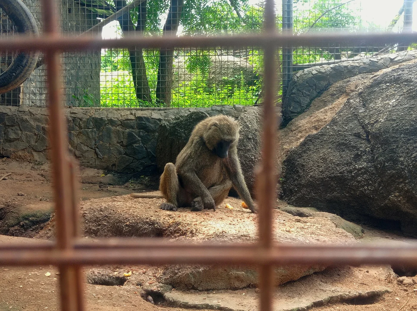 OOPL wildlife park