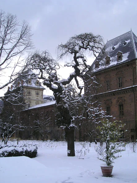 Orto Botanico dell'Università di Torino