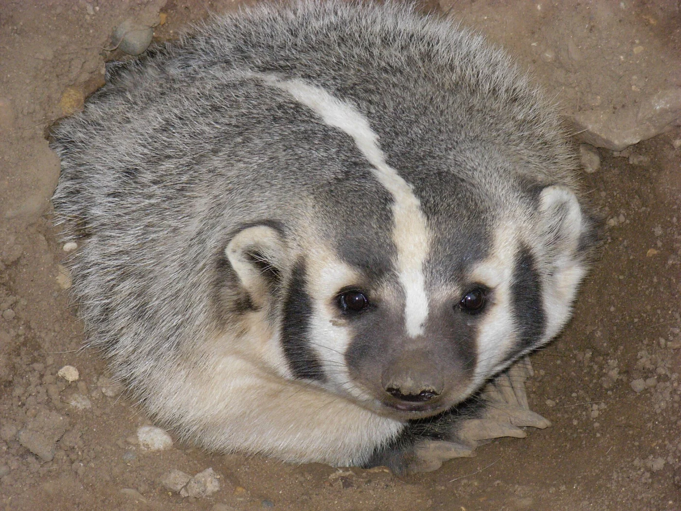 Oxbow Park and Zollman Zoo