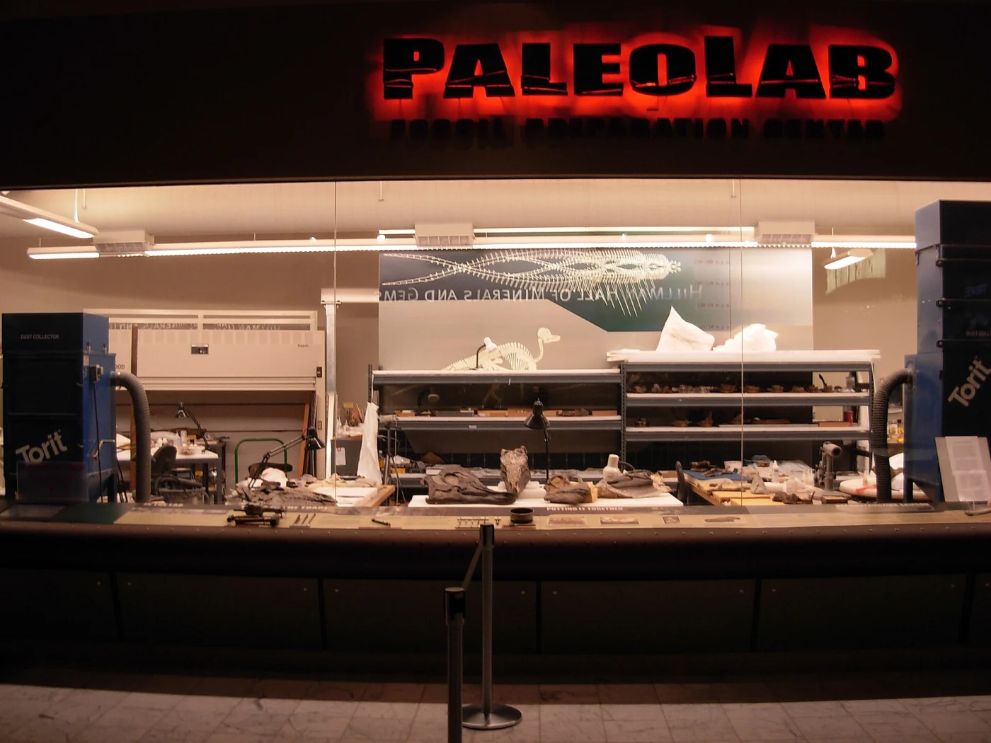 Paleolab