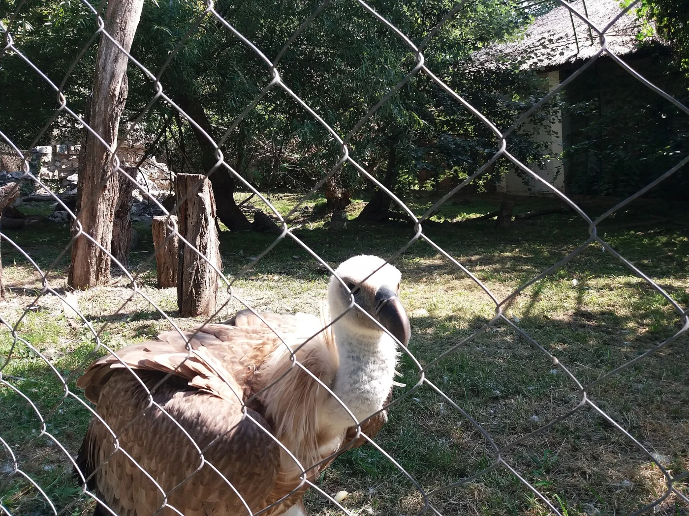 Palić Zoo