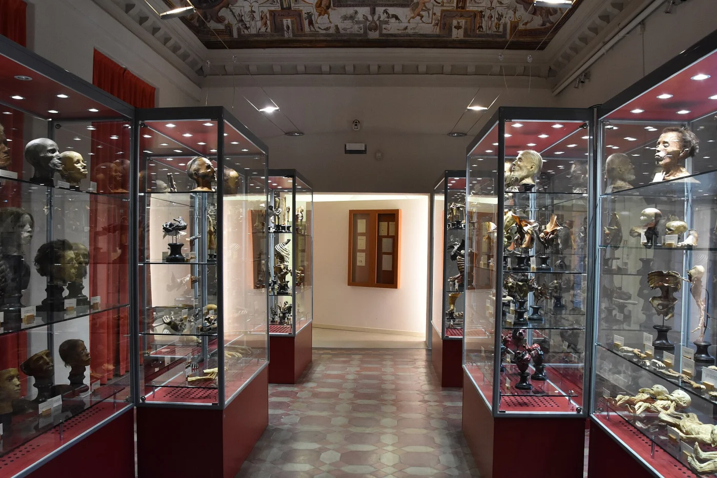 Paolo Gorini Museum