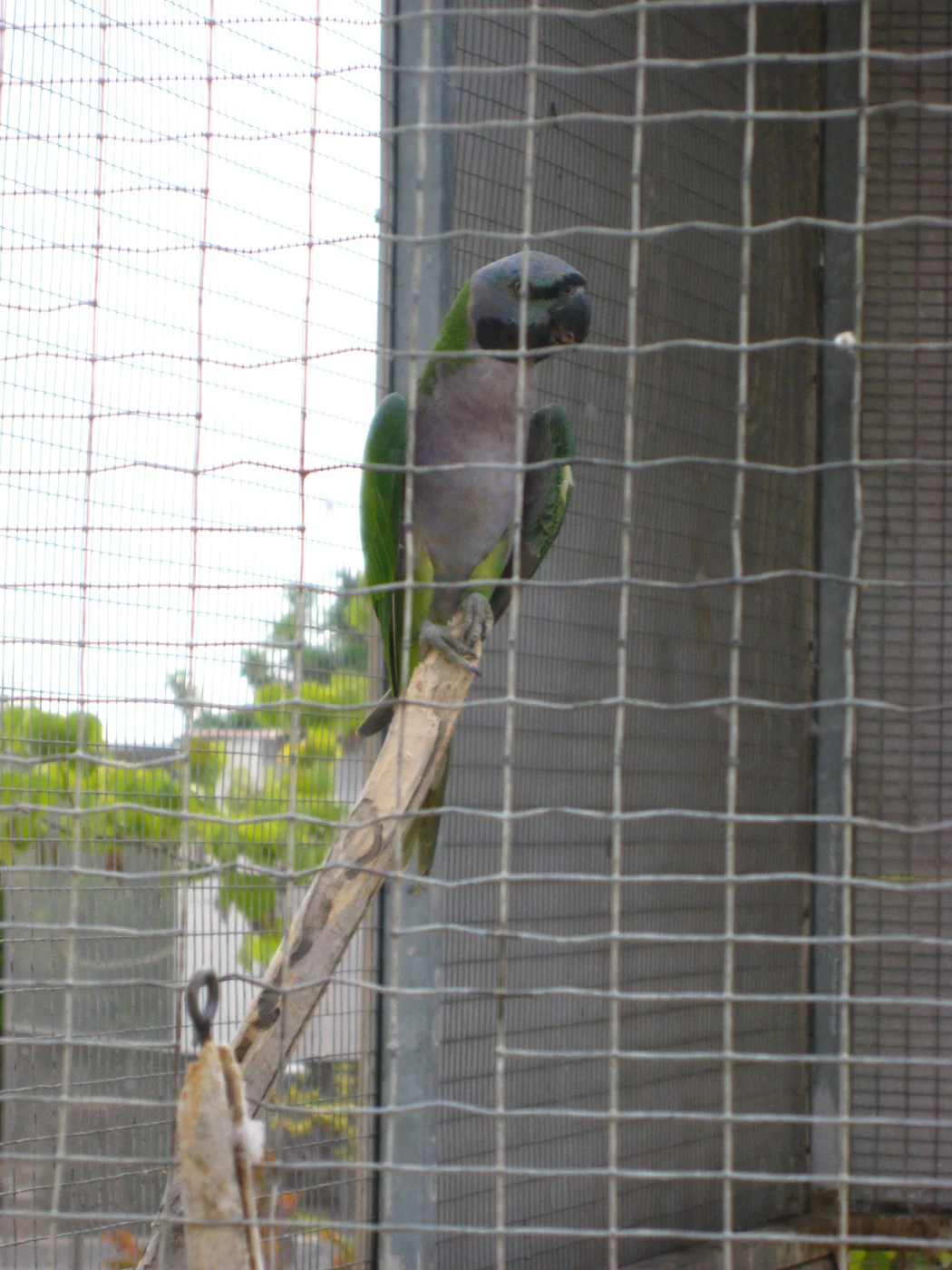 Paphos Zoo