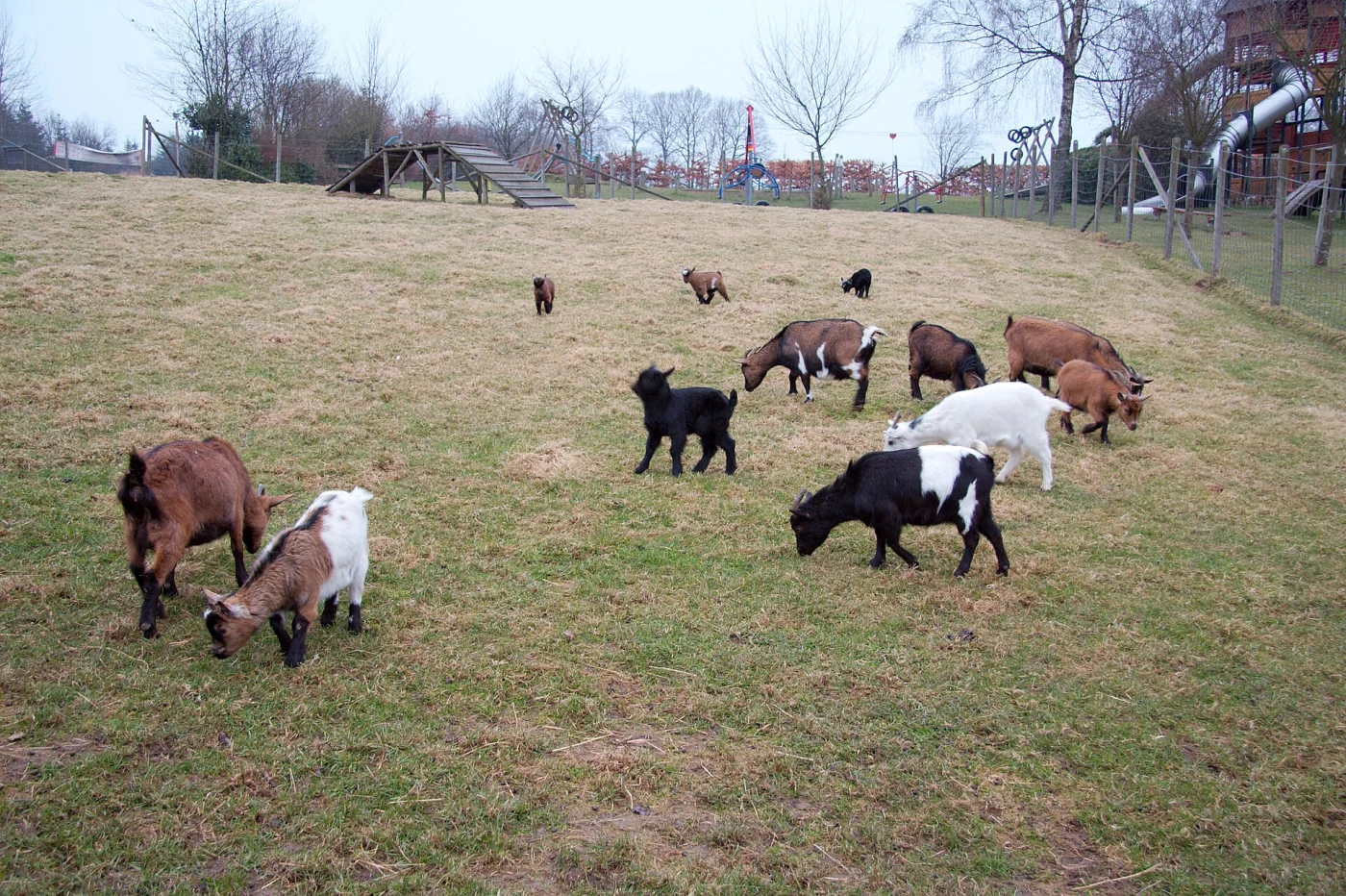 Parc animalier de La Reid