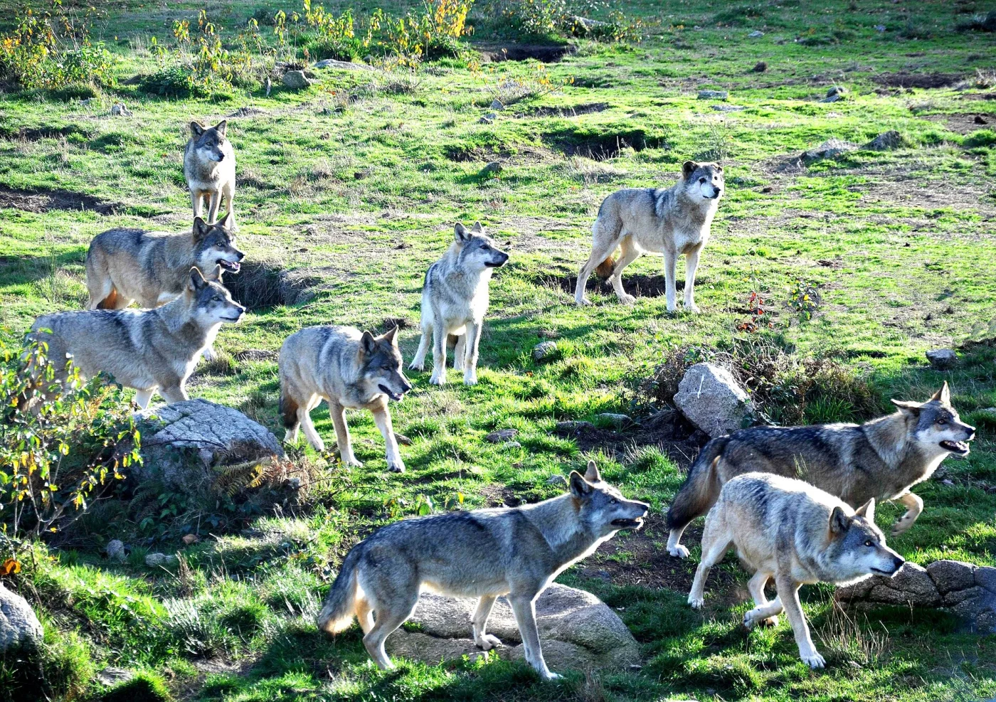 Parc animalier des monts de Guéret