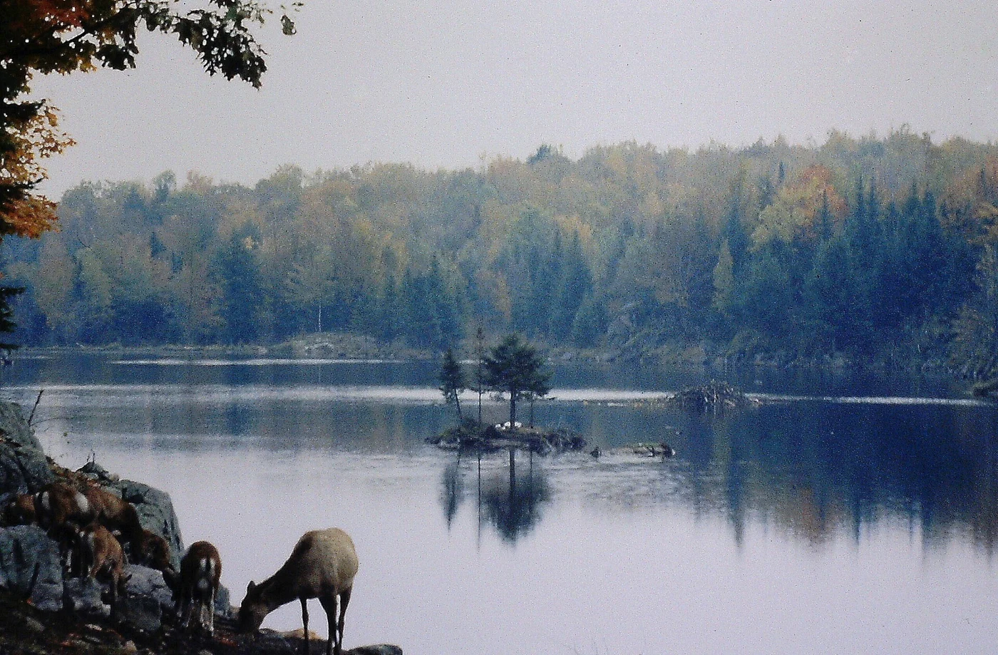 Parc Omega
