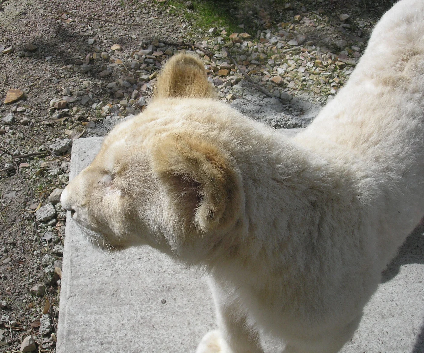 Parc zoologique de Jurques