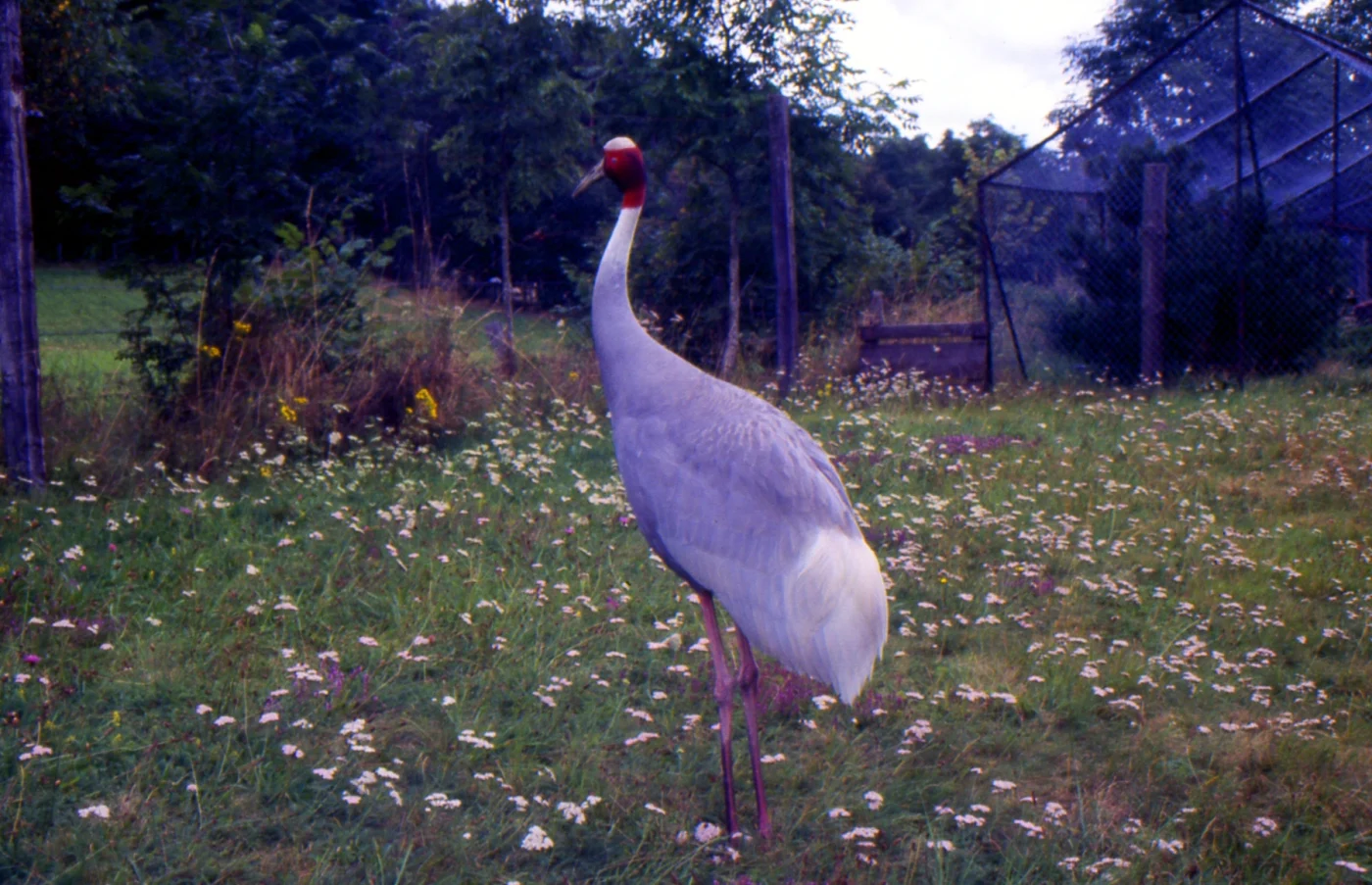 Parc zoologique du Livradois