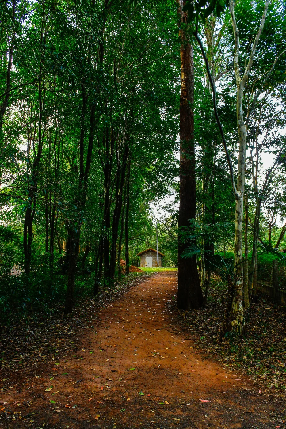 Parque Ecológico de São Carlos