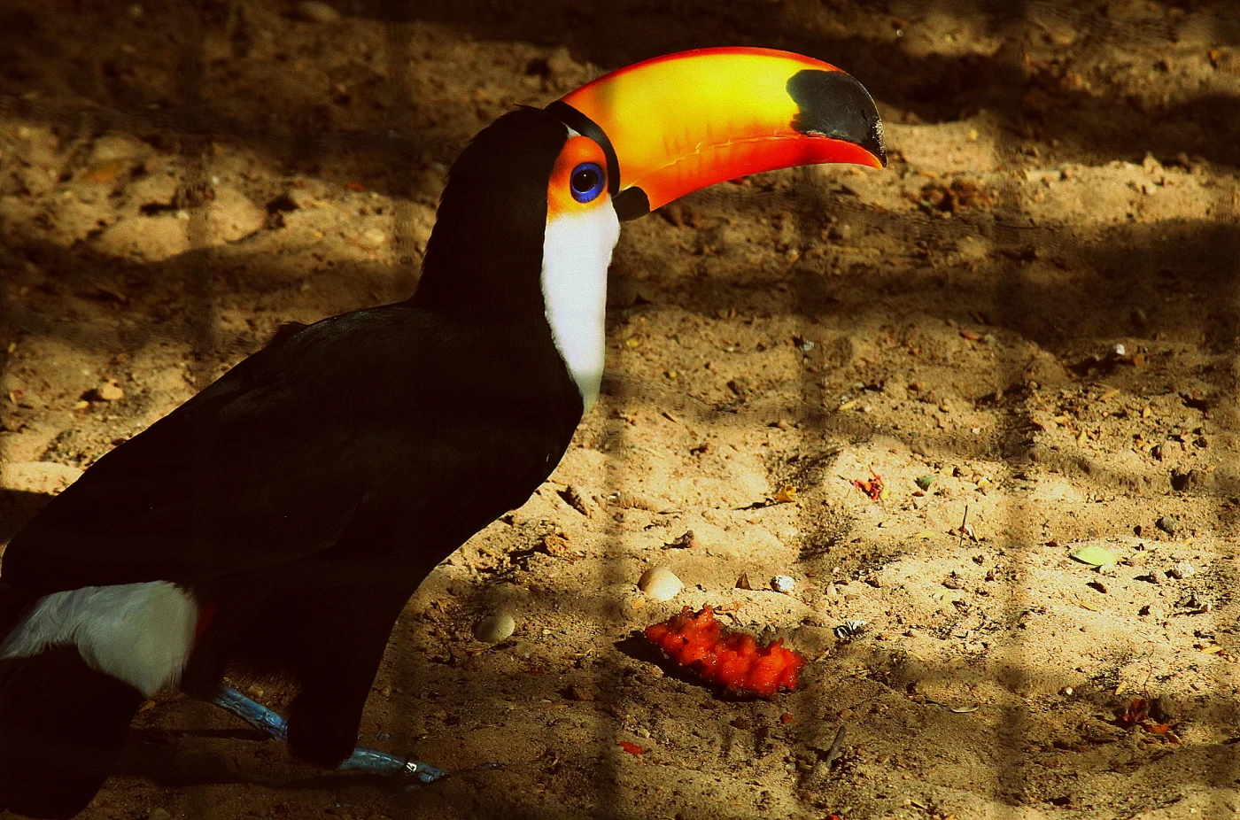 Parque Zoobotânico de Teresina
