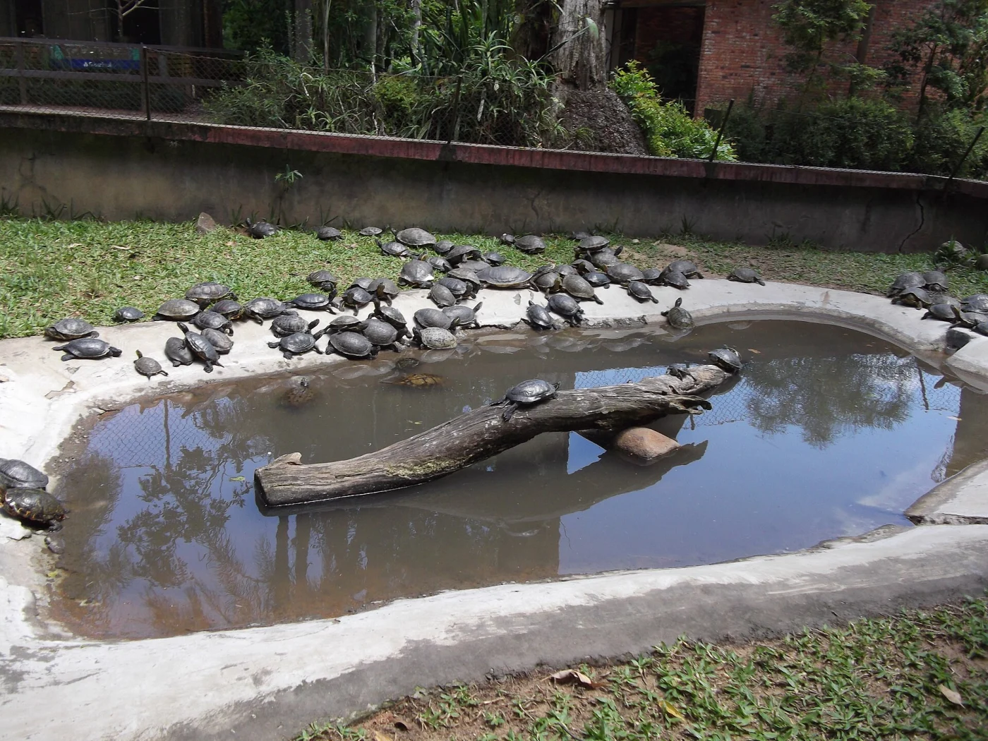 Parque Zoológico do Rio Grande do Sul