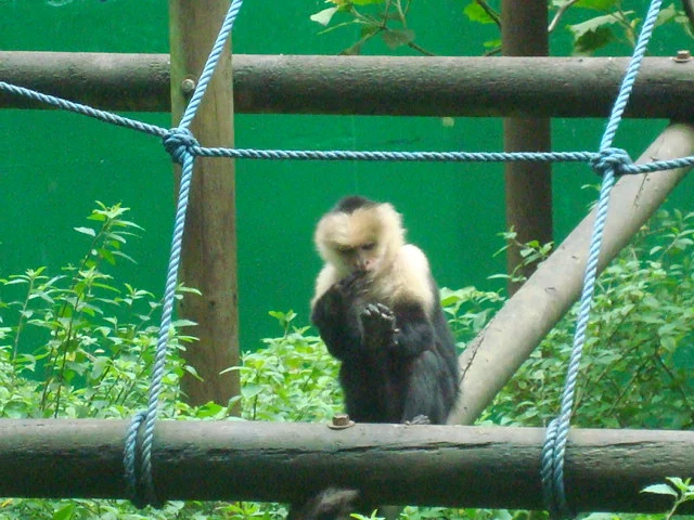 Parque Zoológico Nacional Simón Bolívar