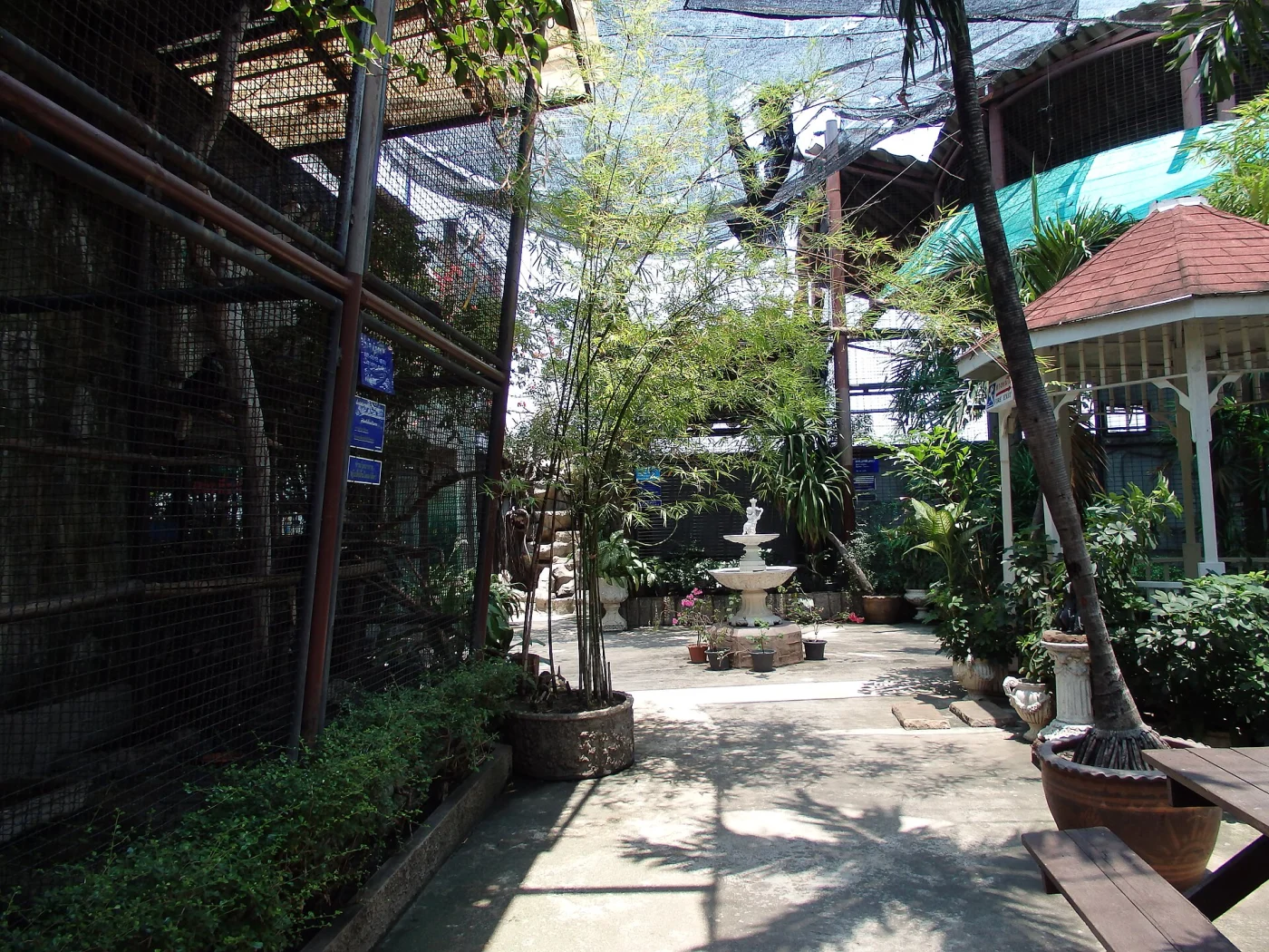 Pata Zoo