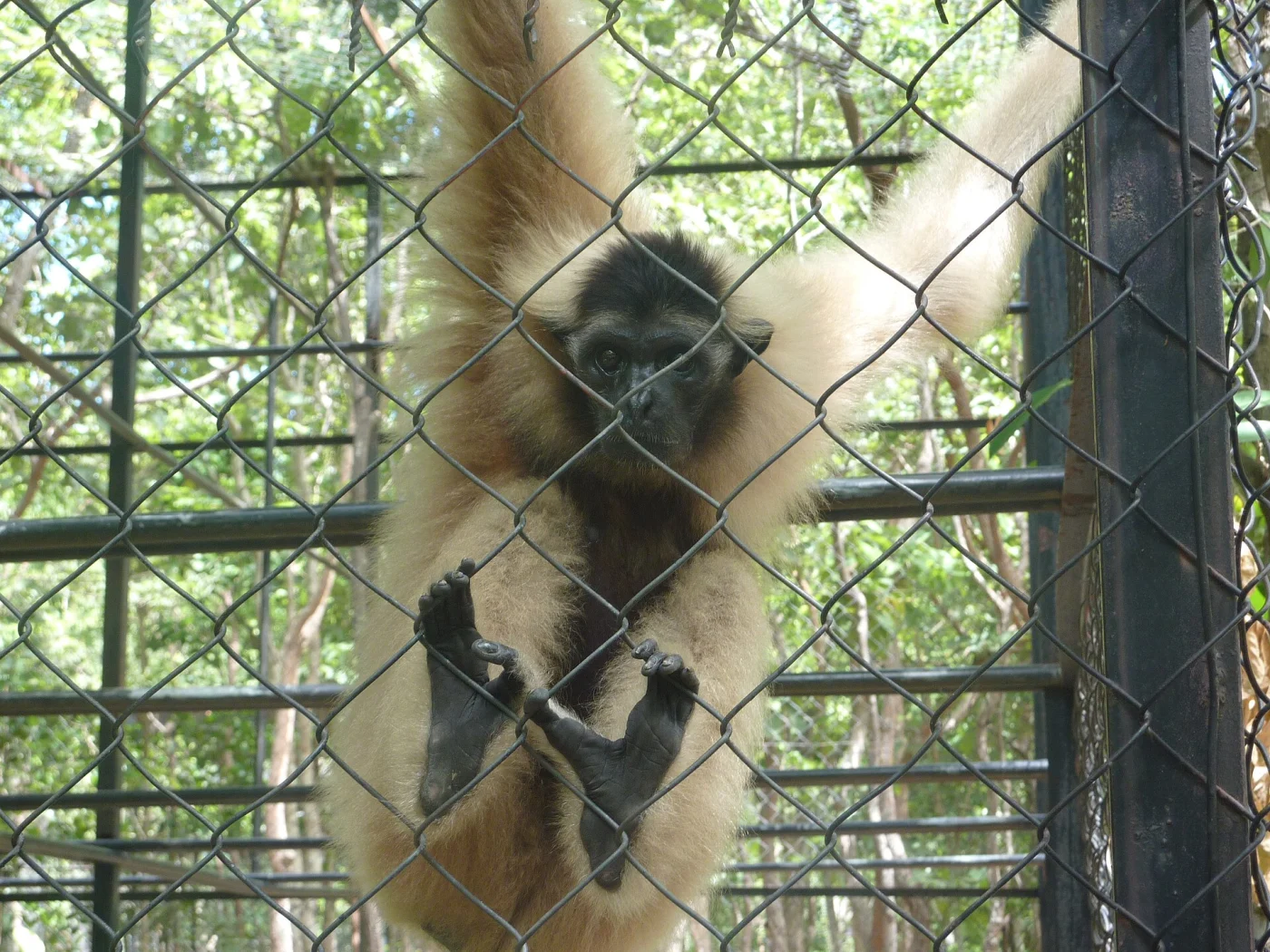 Phnom Tamao Wildlife Rescue Centre