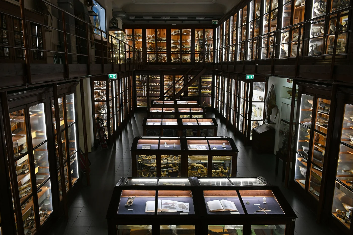 Pietro Doderlein museum