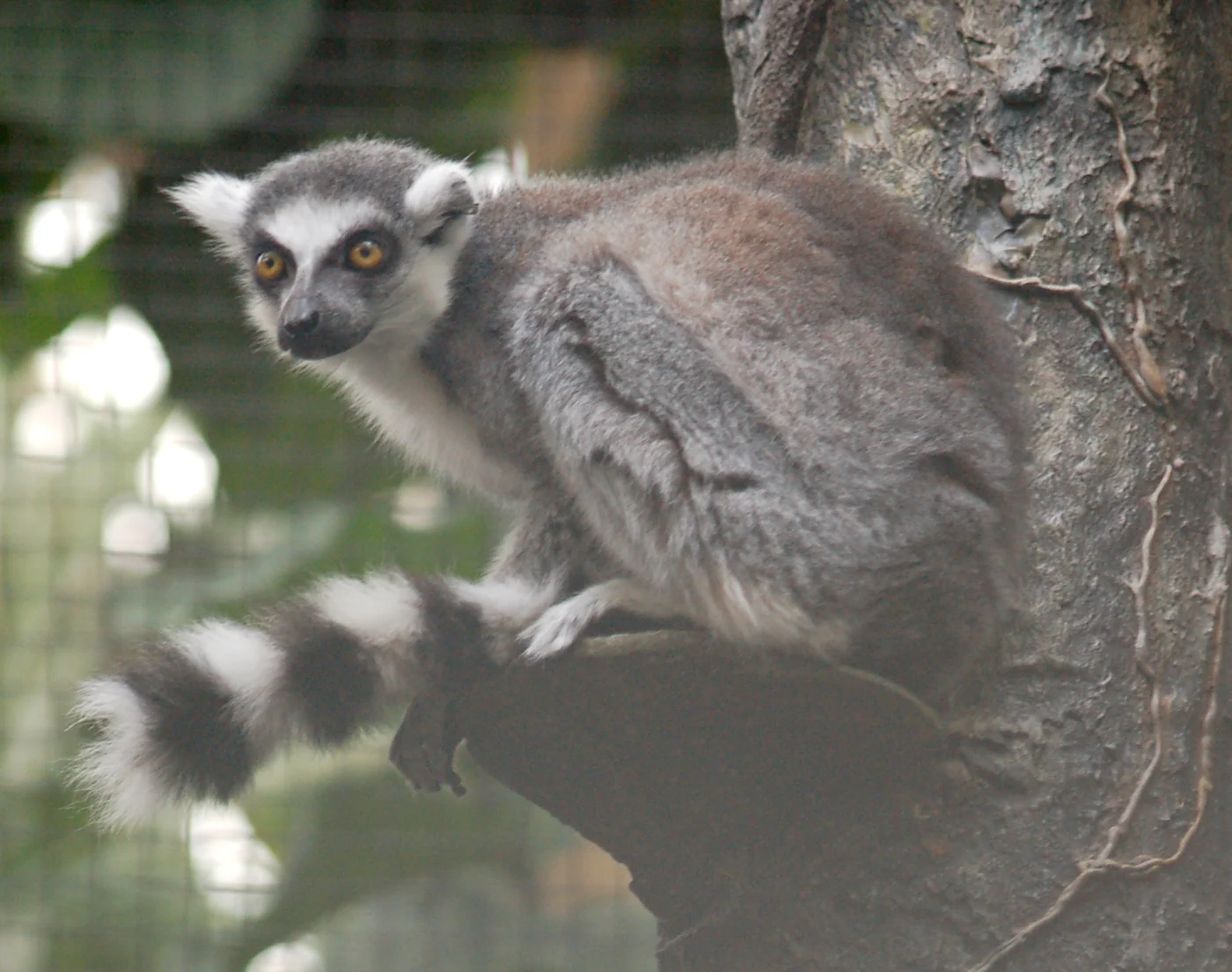 Pittsburgh Zoo & Aquarium