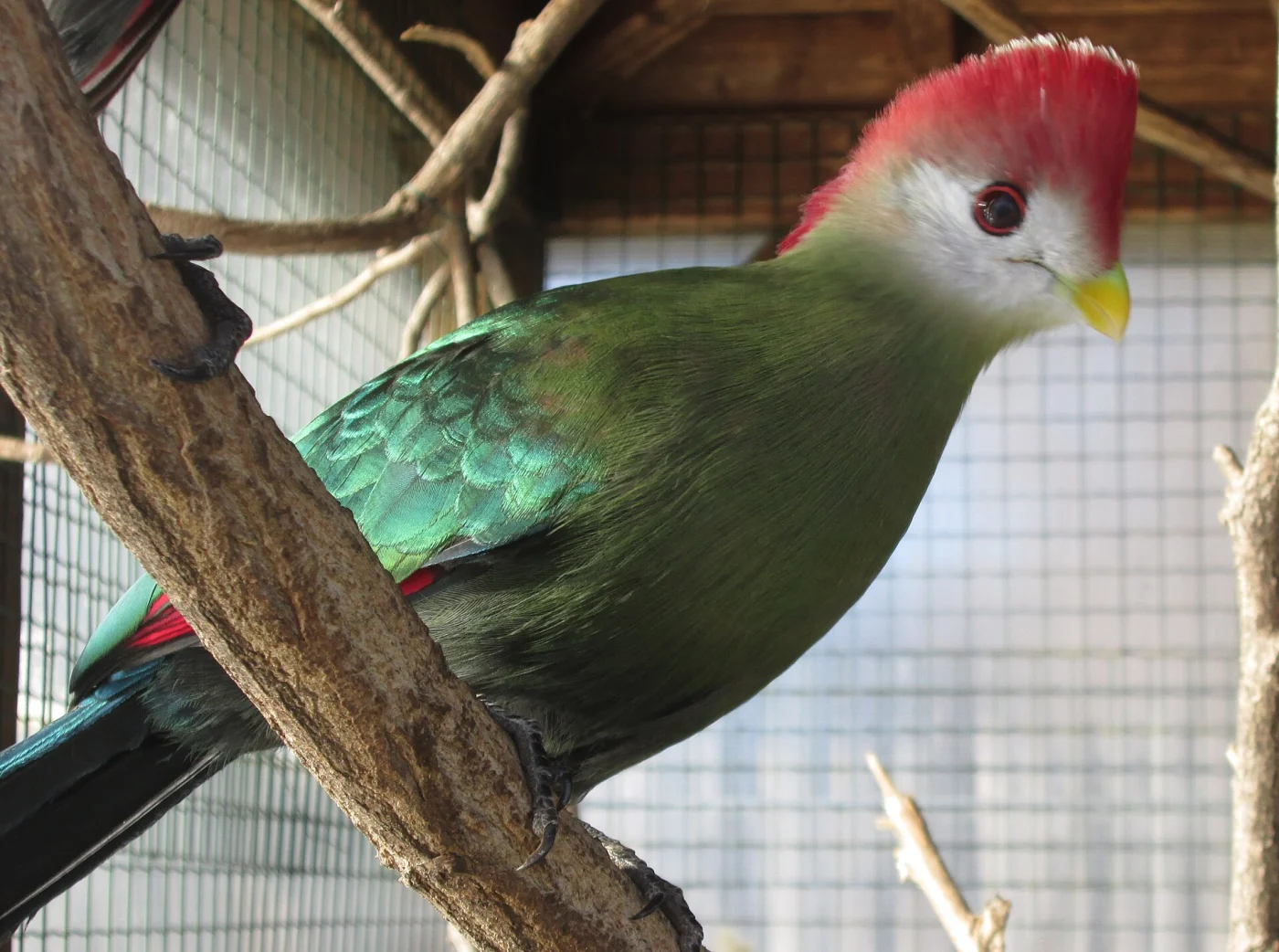 Pombia Safari Park