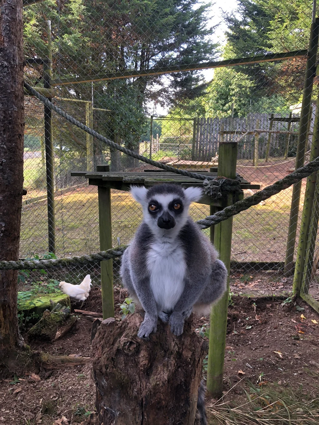 Porfell Wildlife Park