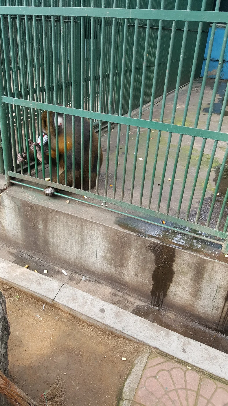 Qinhuangdao Wildlife Park
