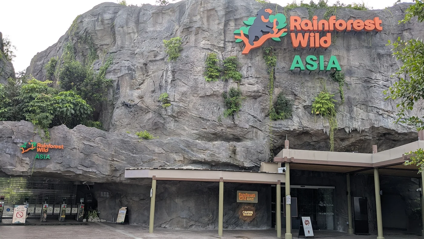 Rainforest Wild Asia