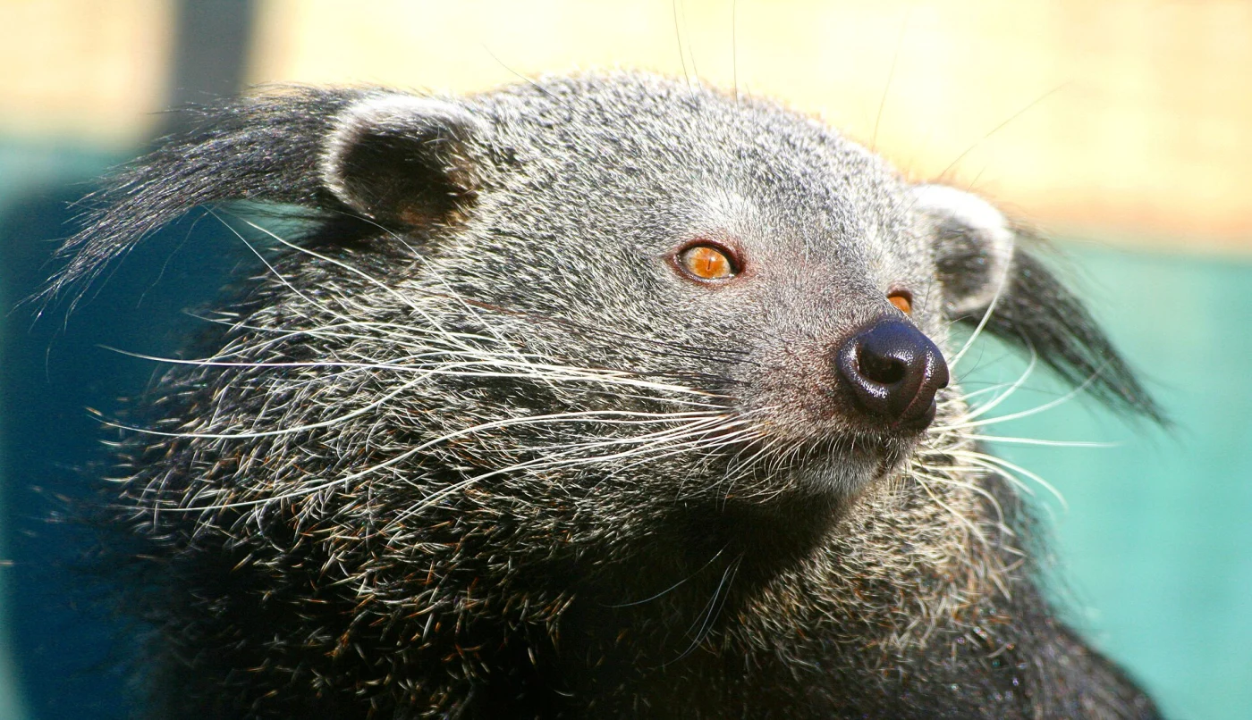 Rare Species Conservation Centre