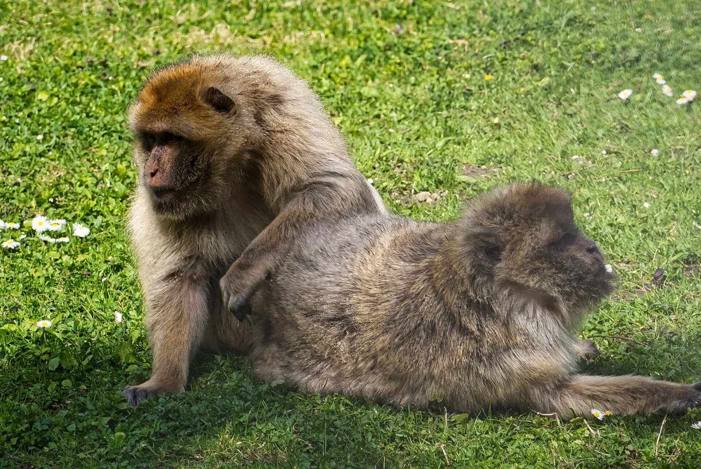 Raritätenzoo Ebbs