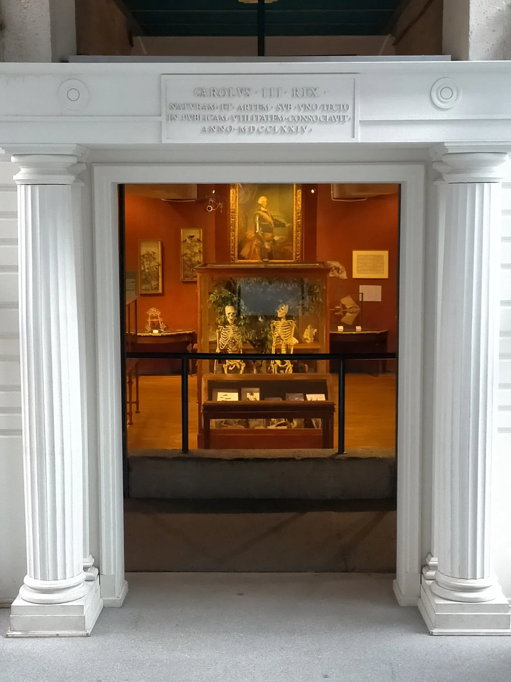 Real Gabinete de Historia Natural