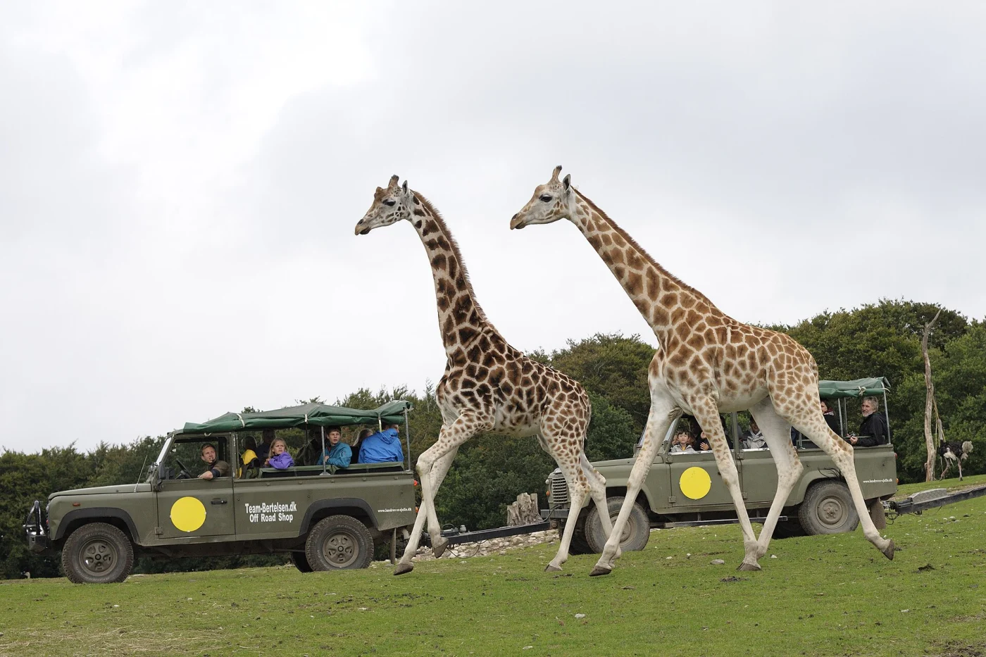 Ree Park – Ebeltoft Safari