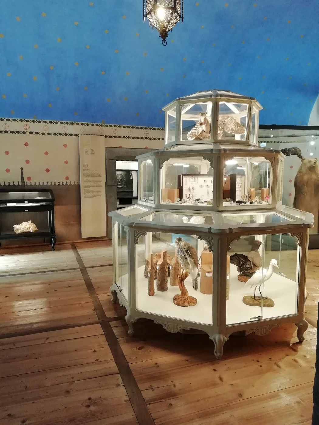 Regional Natural Science Museum